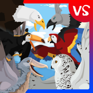 Birds Fights Birds